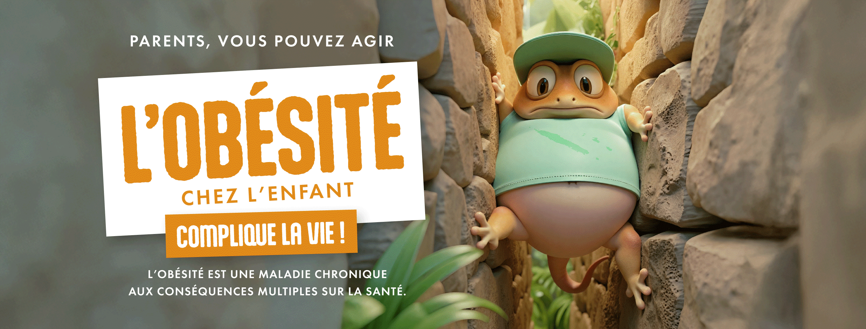 cover FB obesite