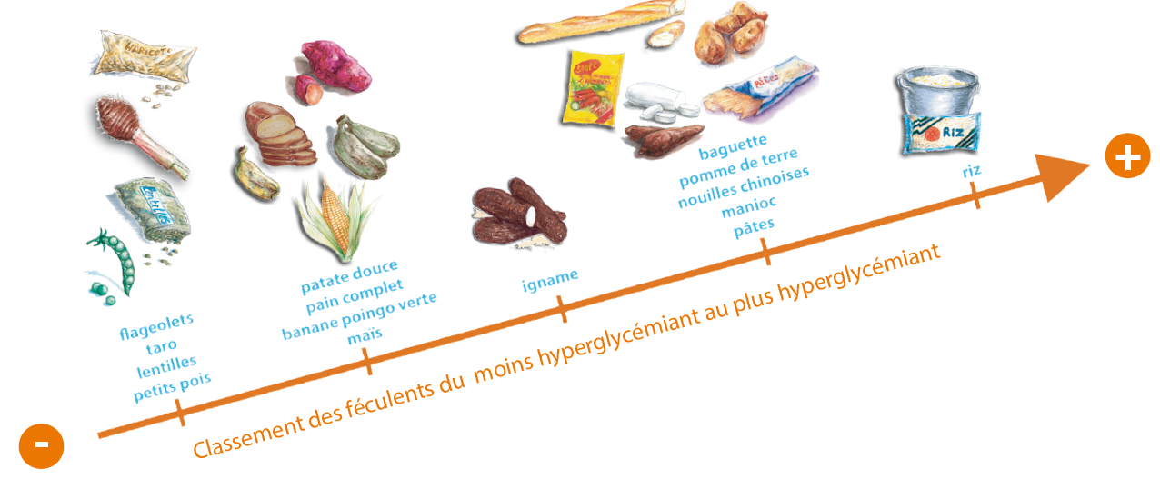 sucres feculent