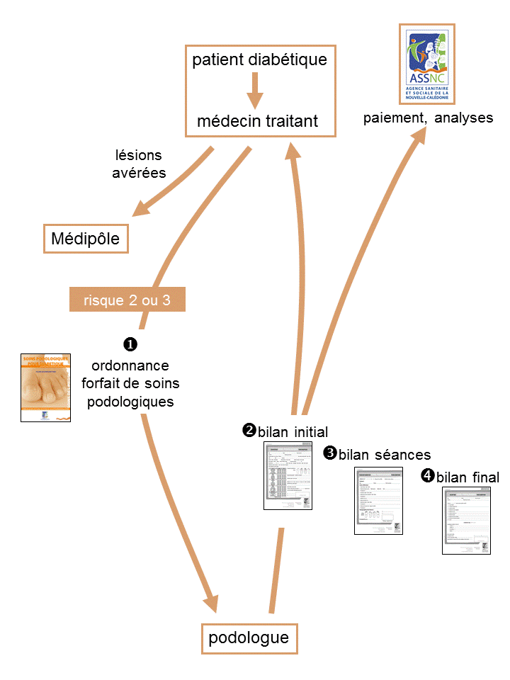 schema