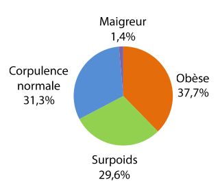 obesite nc graphique
